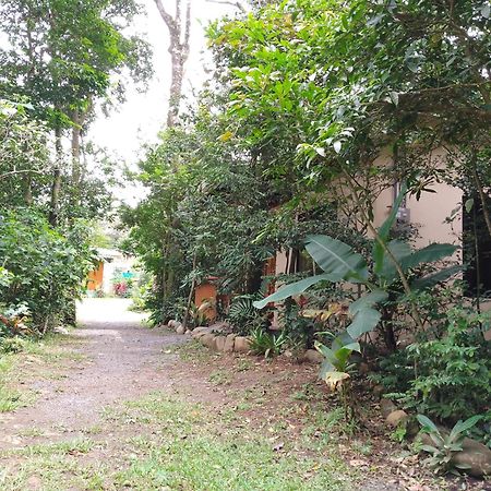 Casitas Del Bosque Monteverde. חדר תמונה