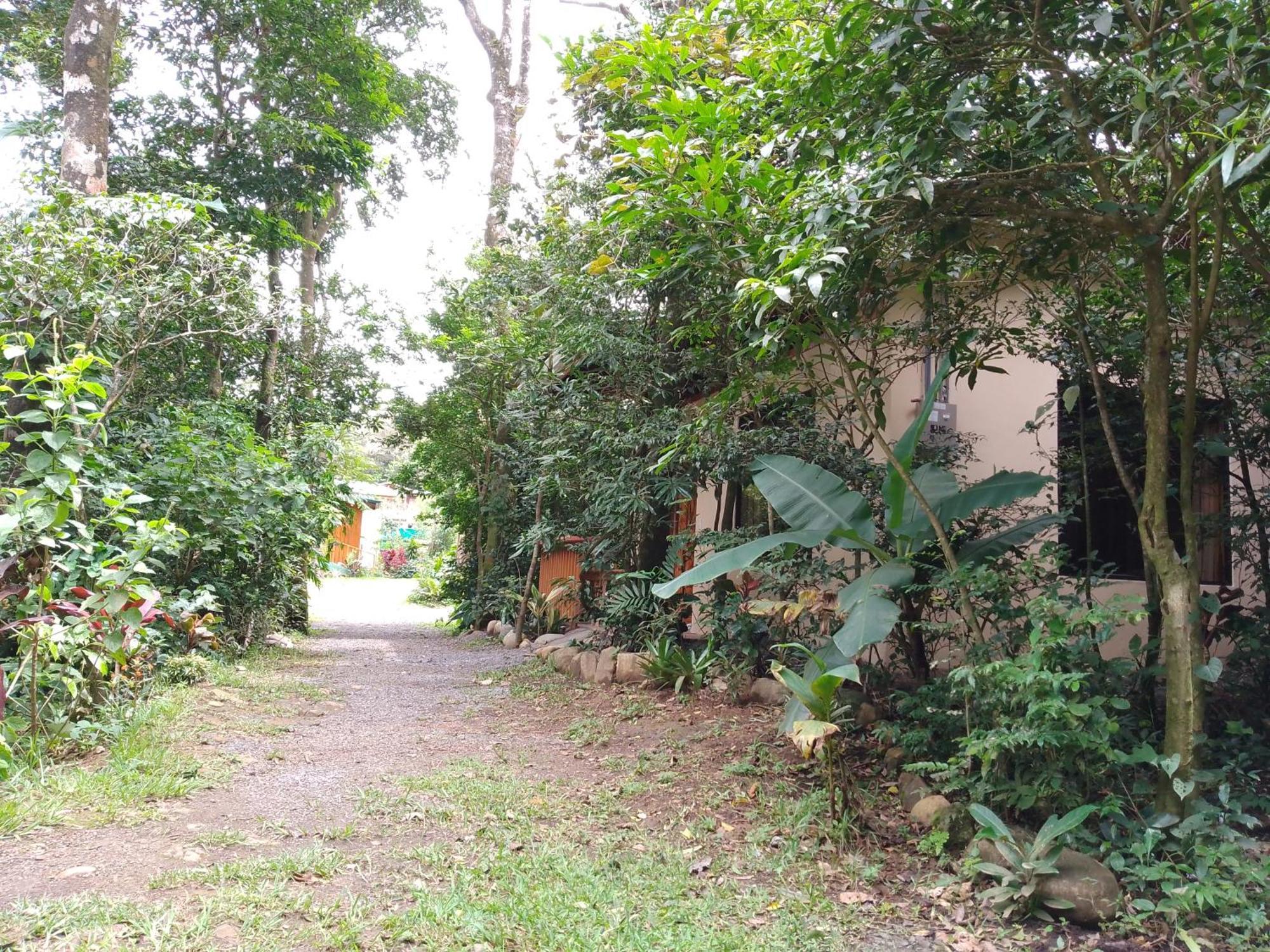 Casitas Del Bosque Monteverde. חדר תמונה